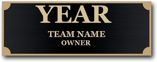 Miniatura 6 de TrophySmack Placa ganadora  Placa de nombre grabada personalizable  Premio de campeón de trofeo de fútbol de fantasía (plata o negro)