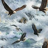 Springs Creative Wild Wings Quest of The Hunter Eagle Flight Multicolor Premium...
