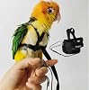 Adjustable Bird Harness with 78.7 Inch Leash, Outdoor Flying Training Rope Kit for Bird Parrots, Parrot Flying Rope Straps Outdoor Training Traction Rope for Small Medium Large Size Birds (Petite)