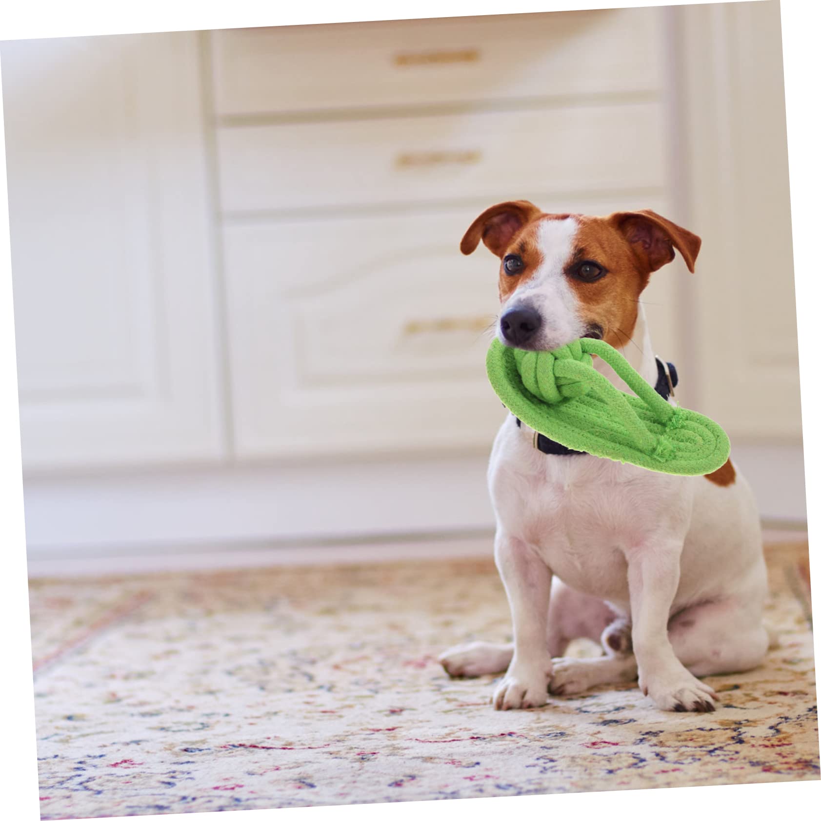 Abaodam Teething Slippers Toy Dog Toys Rope Pet Chew Slippers for Puppies and Small Dogs Random