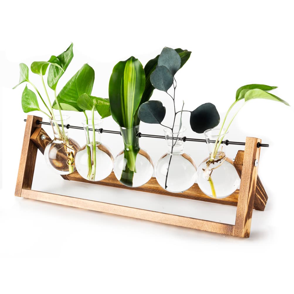 TOPHORTTophort Air Planter Glasss Terrarium with Wooden Stand, 5 Pack Air Planter Glass Planter Bulb Vase Desktop Plant Terrarium for Hydroponics Plants Home Garden Office Decor (Pattern 2)