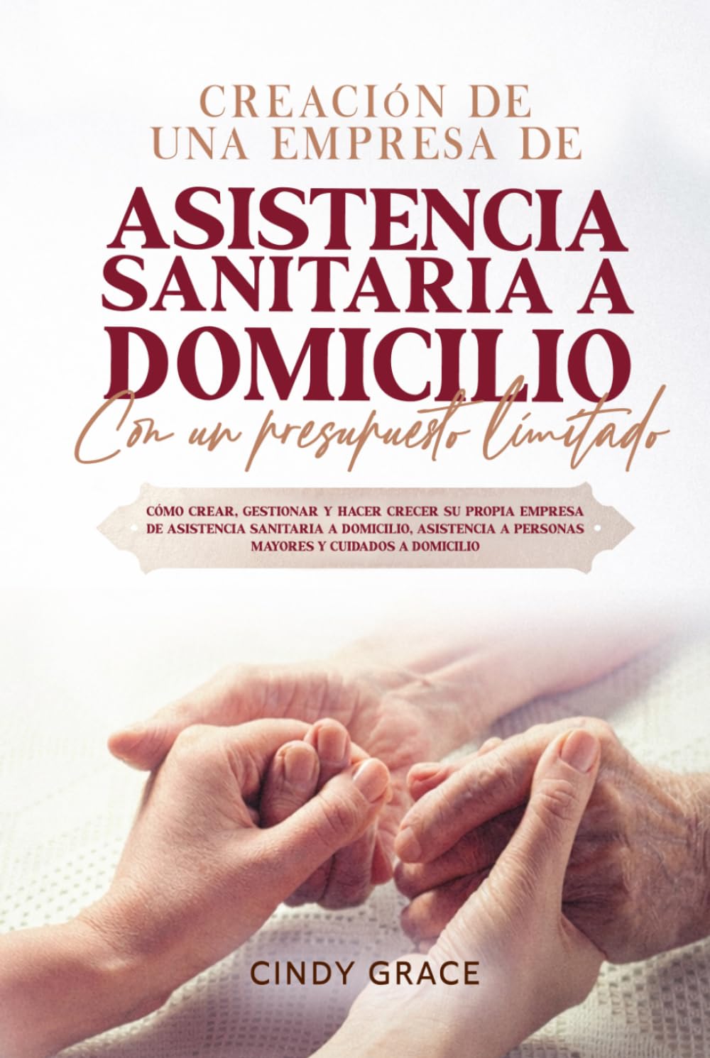 Creación De Una Empresa De Asistencia Sanitaria A Domicilio Con Un Presupuesto Limitado