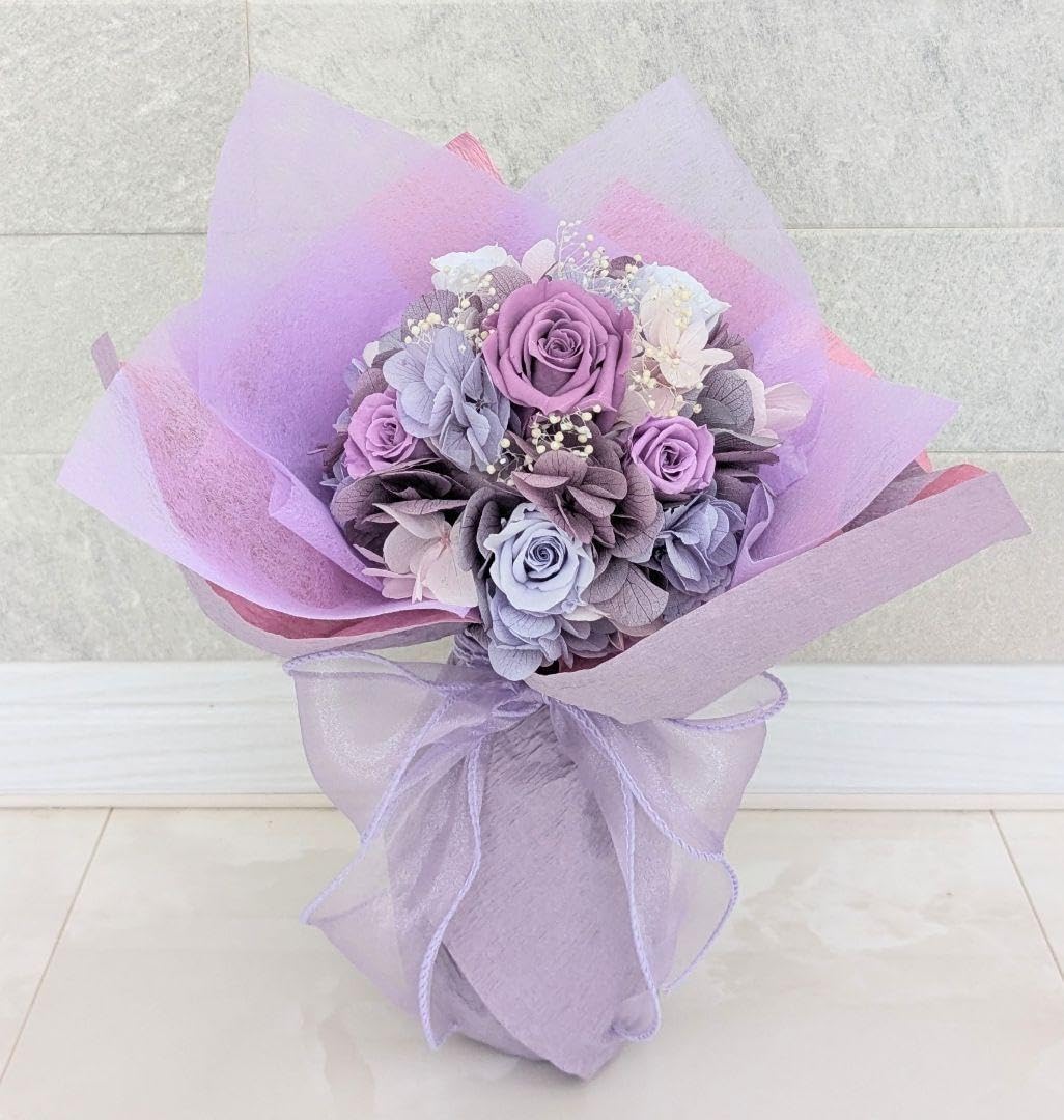 現品 ドラセナ コンシンネ トリカラー 28番 観葉植物 特大 インテリア