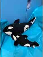 名古屋港水族館シャチのクーちゃん Amazon.co.jp: 名古屋港水族館 シャチのクーちゃん : おもちゃ
