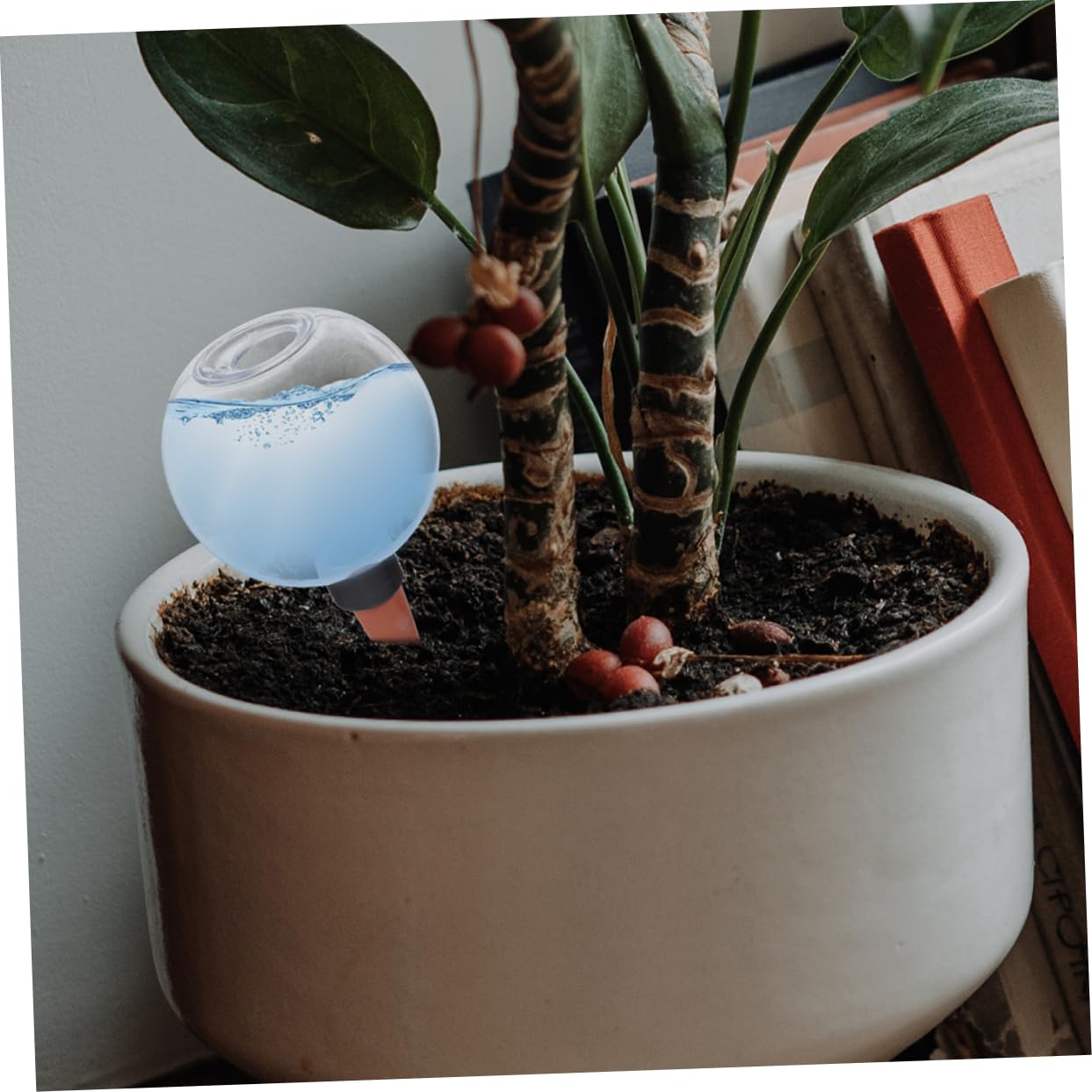 BESPORTBLE 6pièces Dispositif Arrosage Automatique pour Plantes Lot de Bulbes De Système Irrigation pour Plantes Et Économie Et Pratique pour Succulentes Et Pot