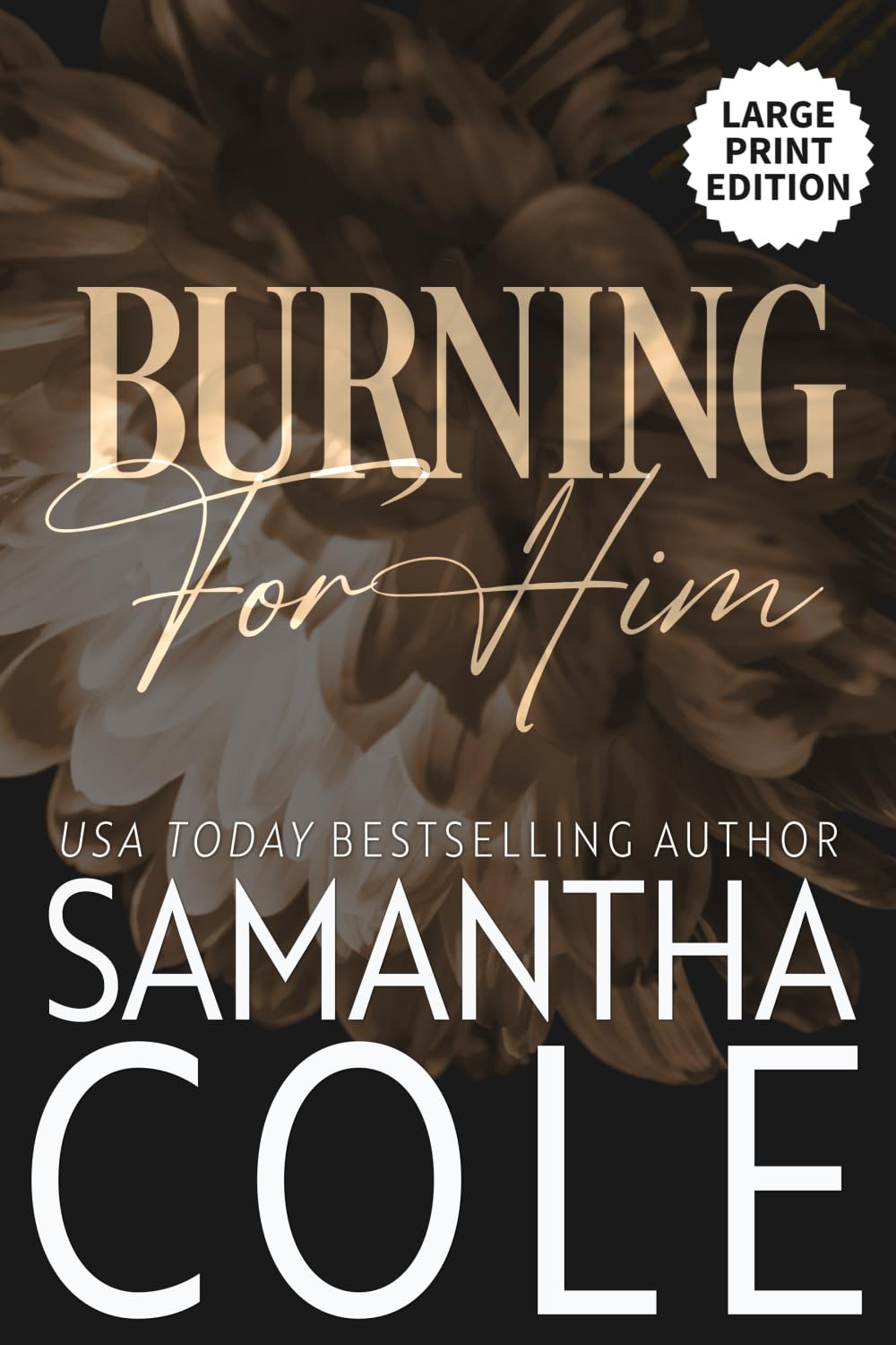 Burning For Him (Trident Security Series Large Print Edition)