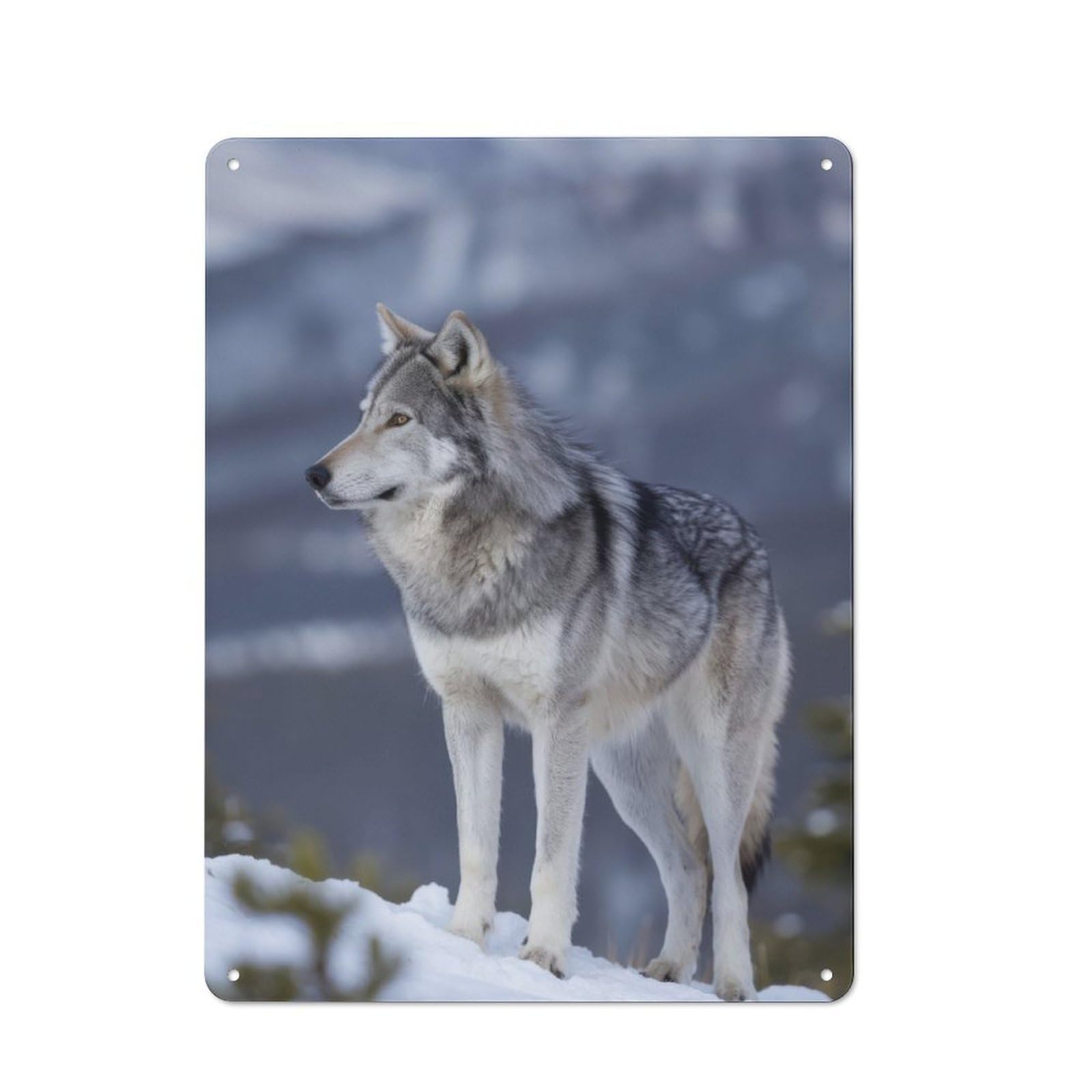 Junmoney Wolf In Snowy Landscape Tin Sign 40X30cm With For Home Bar Wall, Vintage Decor, Wall Decoration For A Recently Updated Home Bar