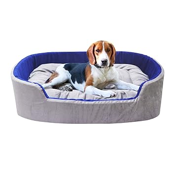 Mellifluous Velvet Fabric Oval Shape Reversible Washable Cat Dog Pet Bed with Extra Cushion (XL, Grey-Blue)
