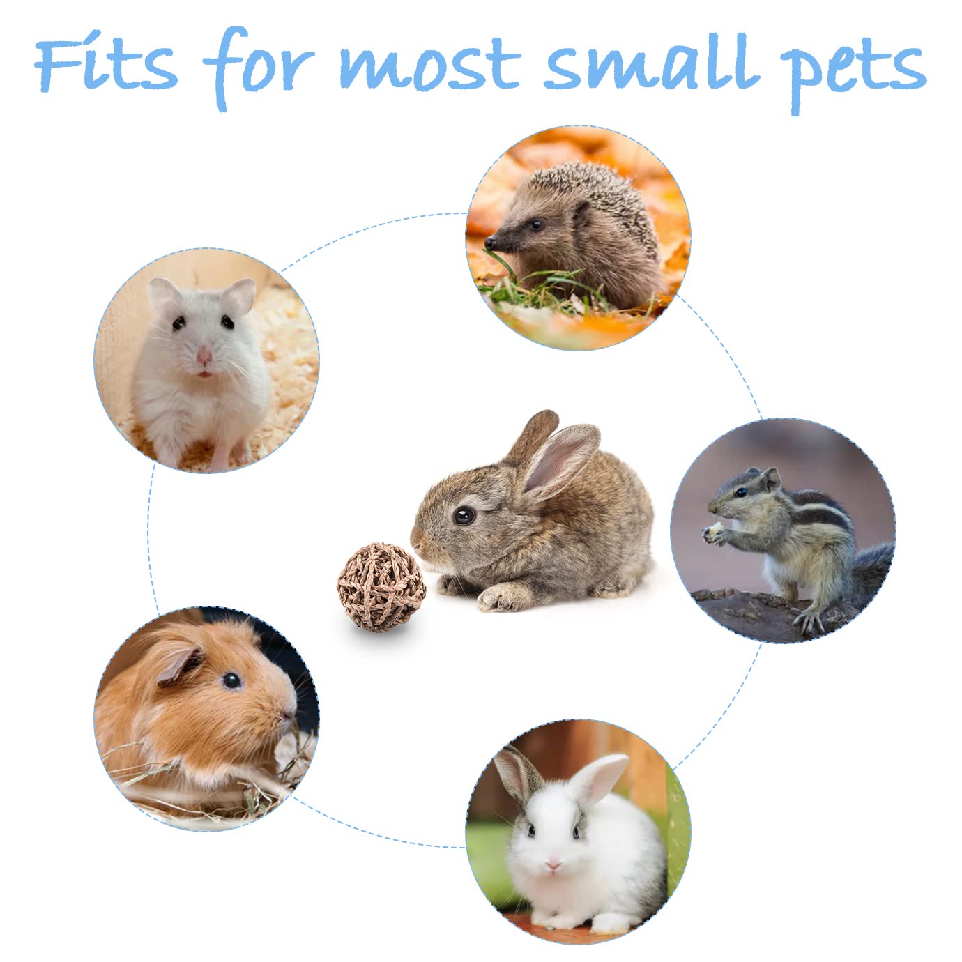 QUACOWW Lot De 8 Jouets à Mâcher En Bois Naturel Pour Lapin, Perroquet, Hamster, Chinchilla, Cochon D'Inde, Petits Animaux