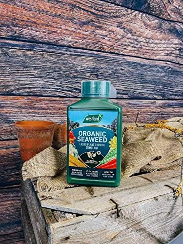 Seaweed Garden Plants Food Fertilizer - Pack of 2 x 1L Organic Seaweed Liquid Plant Feed Growth Stimulant with Topline Card. Garden Fertilisers for Vegetable Plants, Fruits or Flowers.