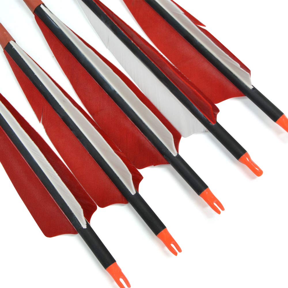 Flèches De Tir à L'arc En Carbone 32 Pouces – Plume Dinde 5 Pouces, Spine 400 à 800, Pour Arc à Poulies Ou Recourbé