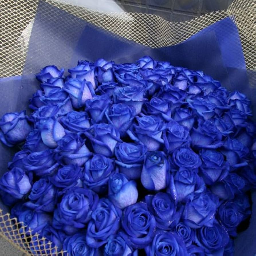 Amazon | 青いバラ ブルーローズ 青ばら 100本の花束 生花 花