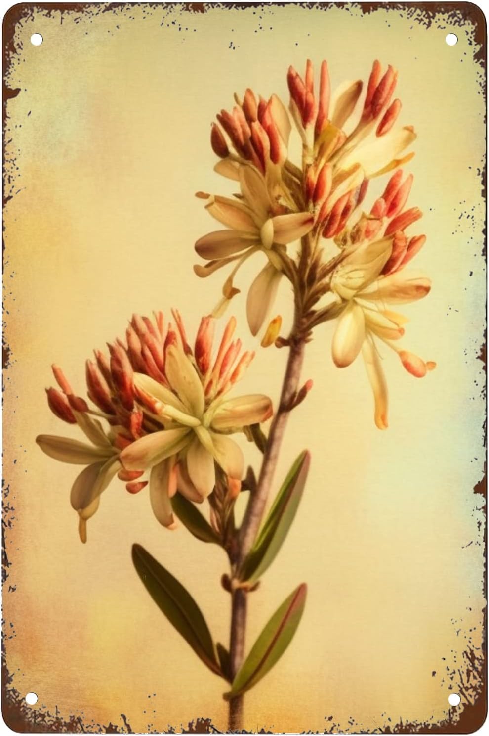 Funny Kangaroo Paw Vintage Metal Tin Sign, Metal Hanging Sign for Home Man Cave Office Kitchen Garden Bathroom Wall Decor Poster 8x12 inch