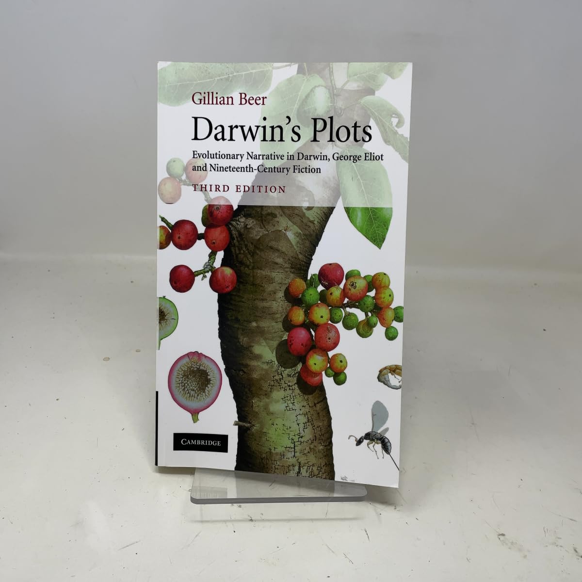 Darwin's Plots: Evolutionary Narrative in Darwin, George Eliot and Nineteenth-Century Fiction      3rd Edition