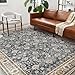 CHAMPLANT Area Rug 5'x7' Washable Rug Vintage Traditional Floor Cover Thin Retro Kitchen Indoor Distressed Non Slip Carpet for Living Room Bedroom Dining Room
