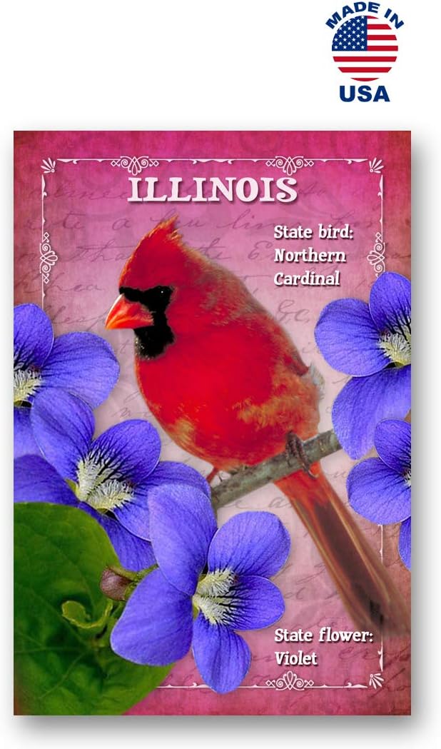 US STATE BIRDS AND FLOWERS Set of 50 postcards. United States bird and flower symbols post cards variety pack. Made in USA.