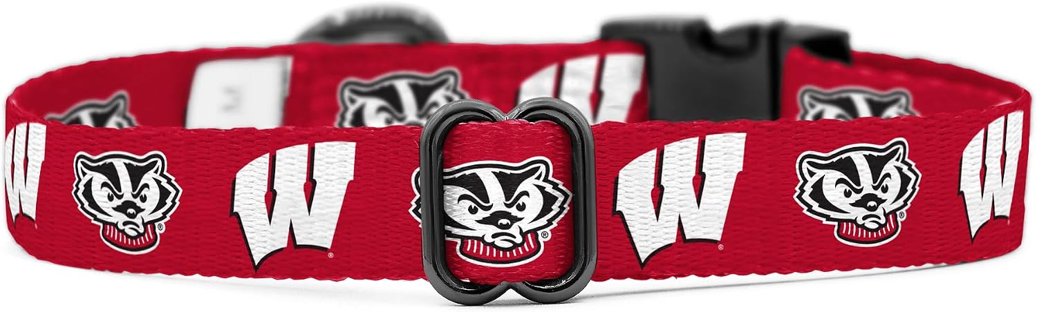 Wisconsin Badgers Collars and Leashes | Officially Licensed | Fits All Pets! (Small Collar)