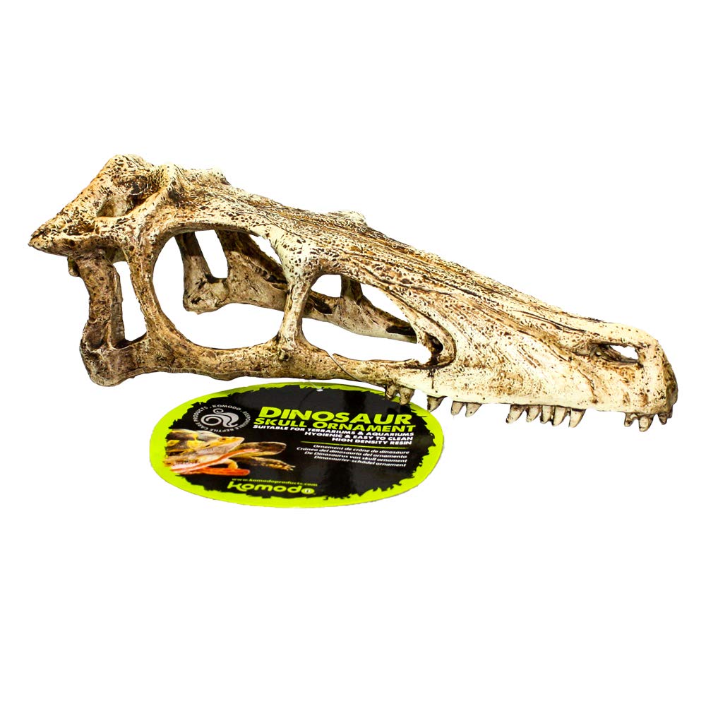Komodo Raptor Skull, Small