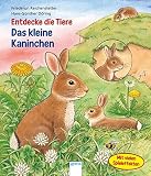 Entdecke die Tiere. Das kleine Kaninchen
