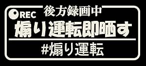 煽り運転即晒す カッティング ステッカー ロゴ (12.白)