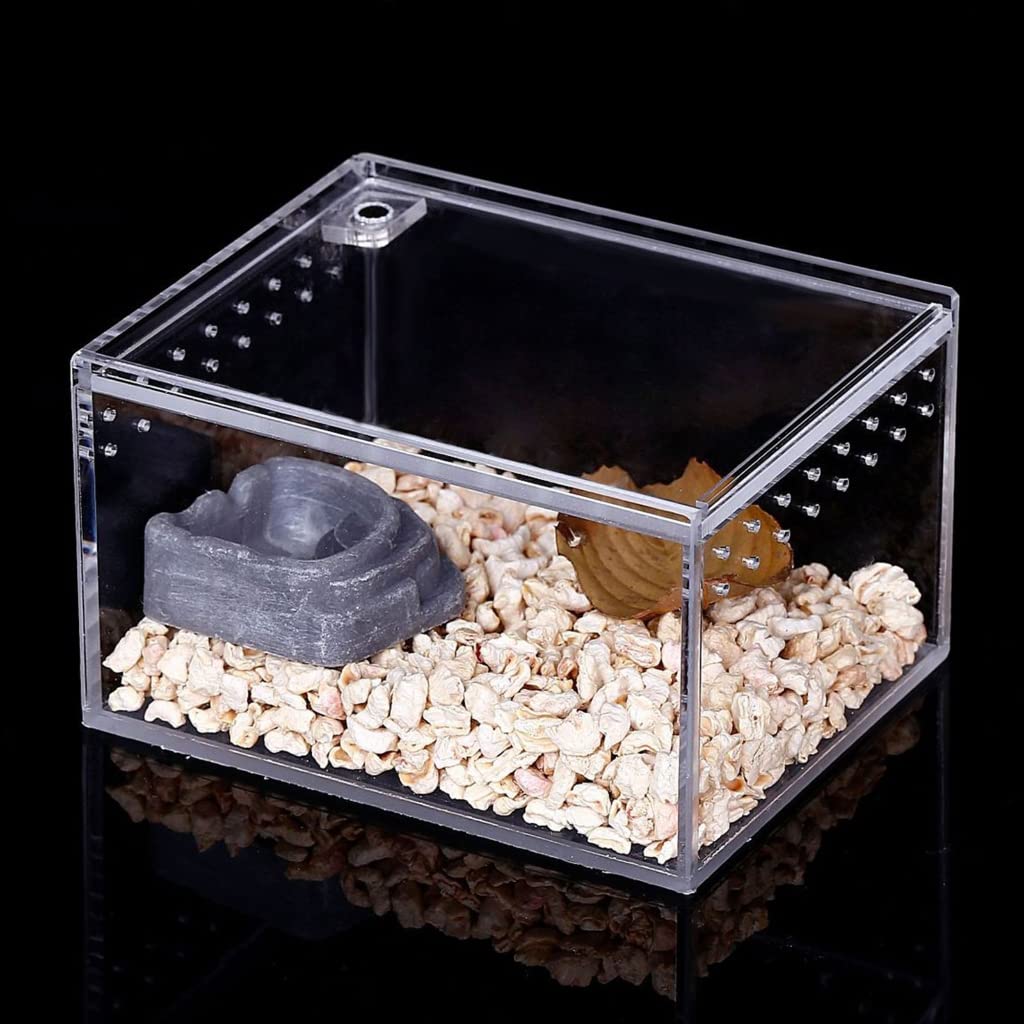 Terrarium dla gadów, duże pudełko do karmienia do małego domowego biura