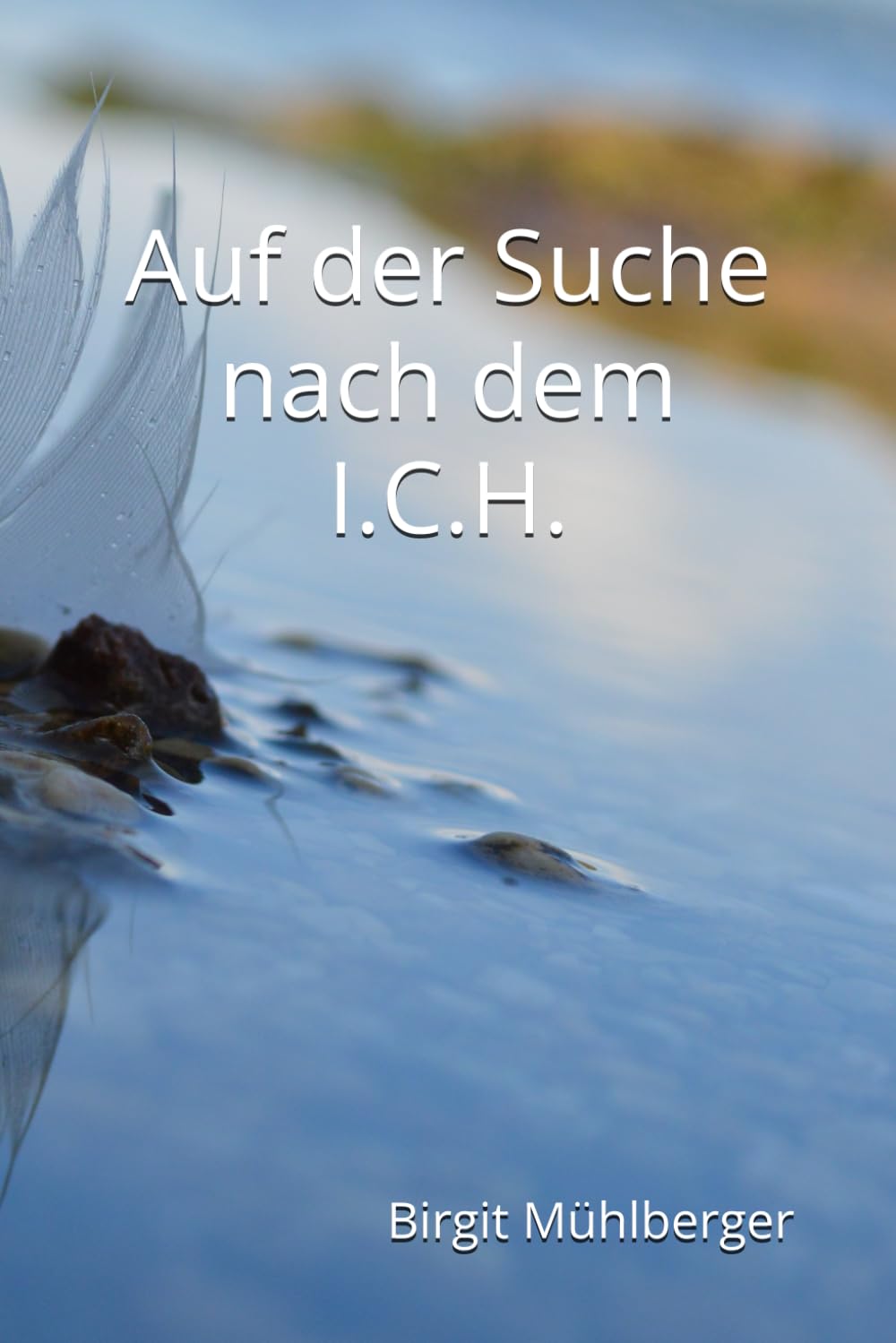 Auf der Suche nach dem I.C.H.