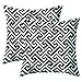 JOTOM Simple Geometric Super Soft Fodere per Cuscini per Divano Divano Letto Federa Cuscino Decorativo per la casa 45X45cm, Set di 2 (Pattern in Bianco e Nero 4)