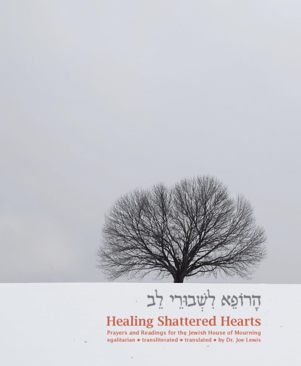 Healing Shattered Hearts: Afternoon and Evening Prayers and Readings for the Jewish House of Mourning