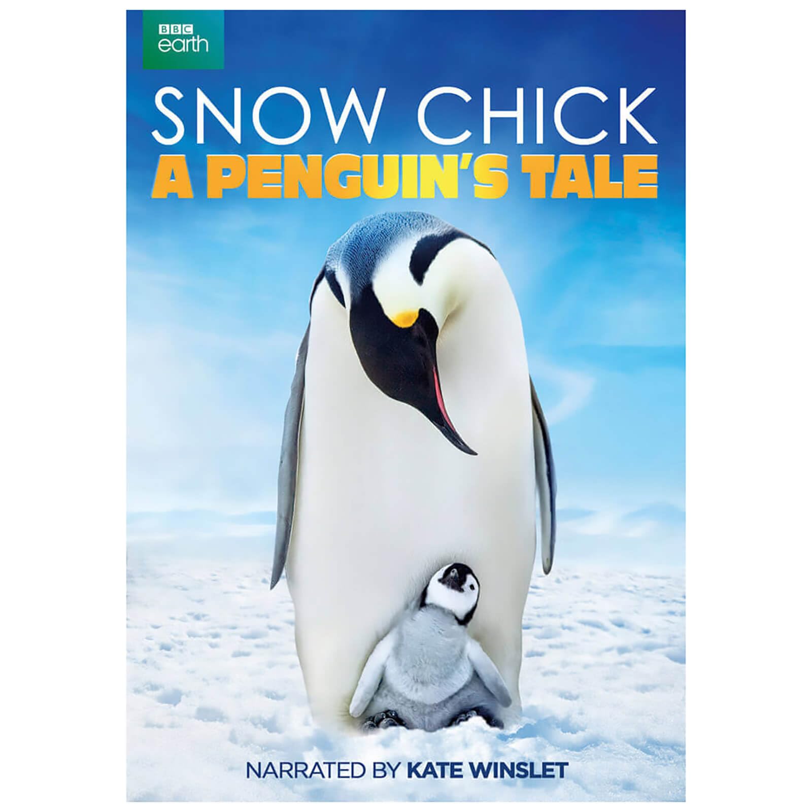Snow Chick - A Penguin's Tale