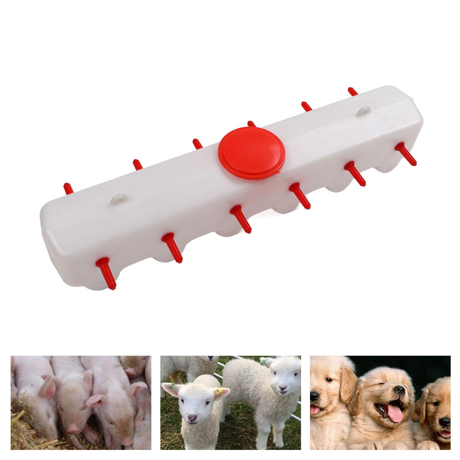 Capra Agnello Latte Capezzoli Mangiatoia Rossa Secchio per Bestiame 2 Lati con 12 Capezzoli capacità 9 Litri Mangiatoia per Latte per Animali Maialino Cucciolo Fattoria