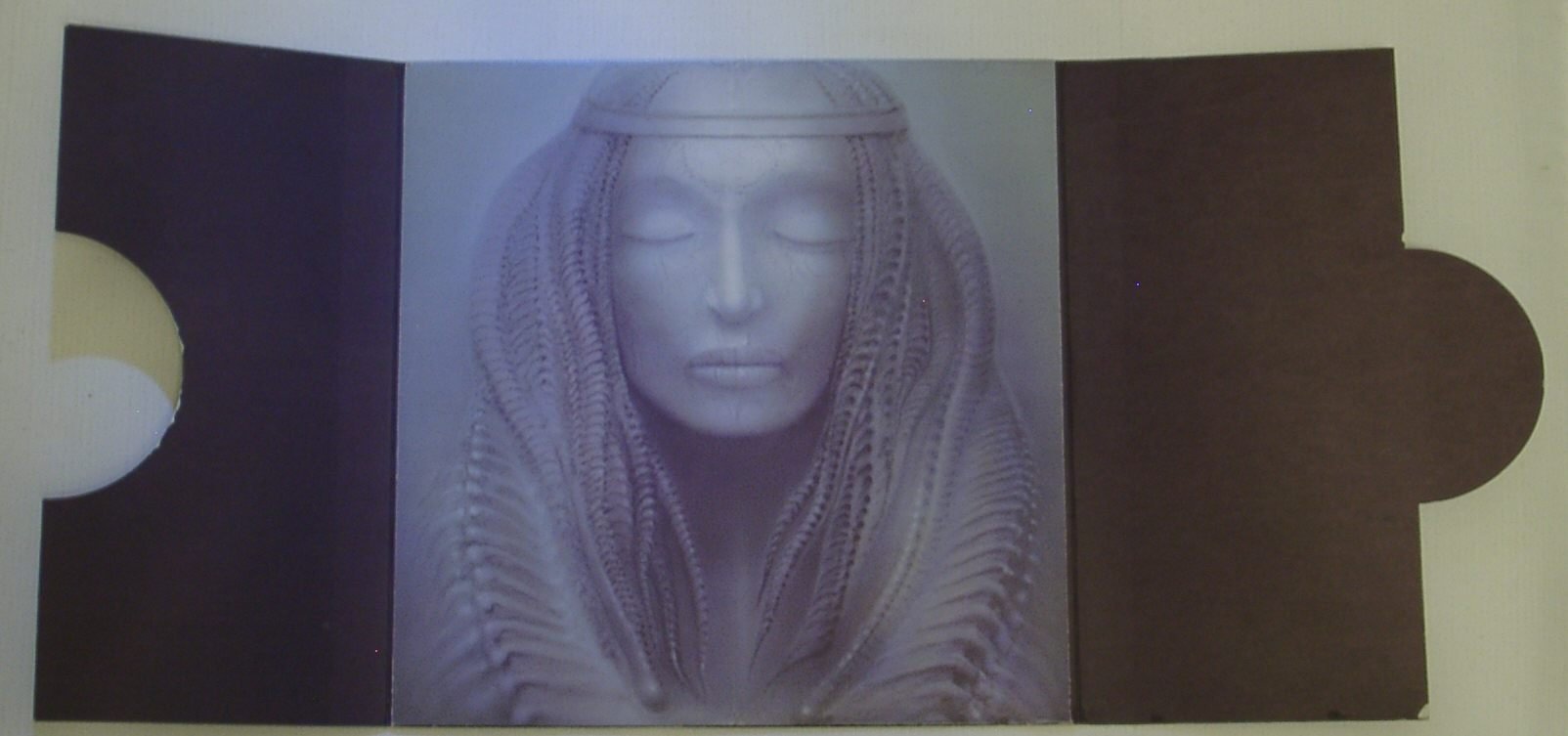 Brain Salad Surgery