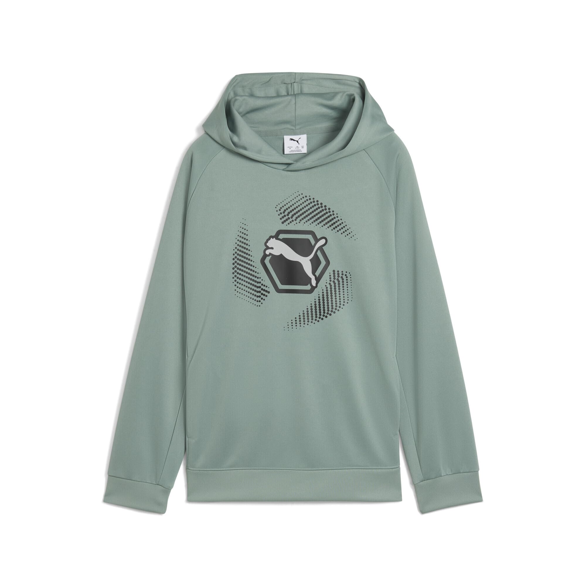PUMA Boys' Active Sports Graphic Poly Hoodie B Hoodie (Pack of 1)