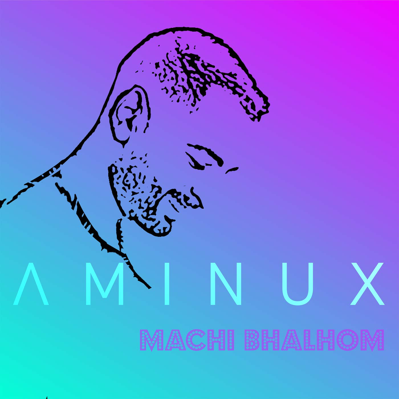 AMINUX