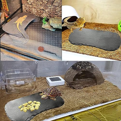 Aazon.co : VCEPJH Large Turtle Basking Platfor Rock Reptile Resting Terrace Resin Bearded