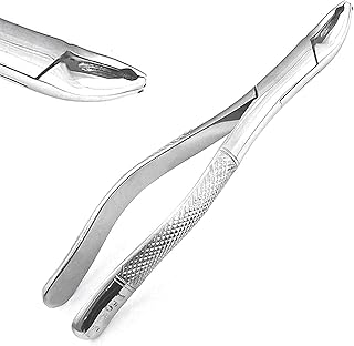 PRECISE CANADA: New German Grade Stainless Dental Tooth EXTRACTING Forceps #150XAS with Serrated Jaws New