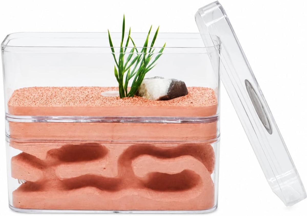 Ant Farm Castle Plaster Ant Terrarium Dom dla łatwej obserwacji i oglądania kolonii mrówek