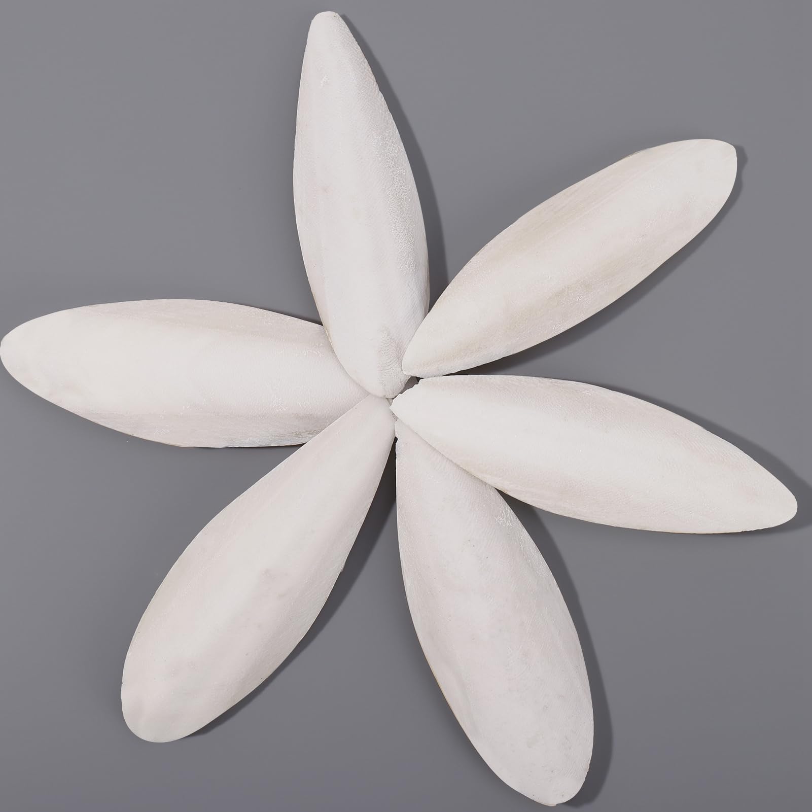 HEQU 6 Pcs Natural Cuttlebone Parakeets Pure Cuttlebone Calcium Stone for Tortoise Parakeets Canaries Cockatiels Turtles Cockatiel 9.5-10.4cm/3.7-4 inch