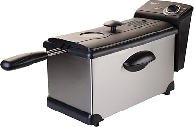 Professional Series 3 Lt Deep Fryer with Enamel Pot, Stainless Steel