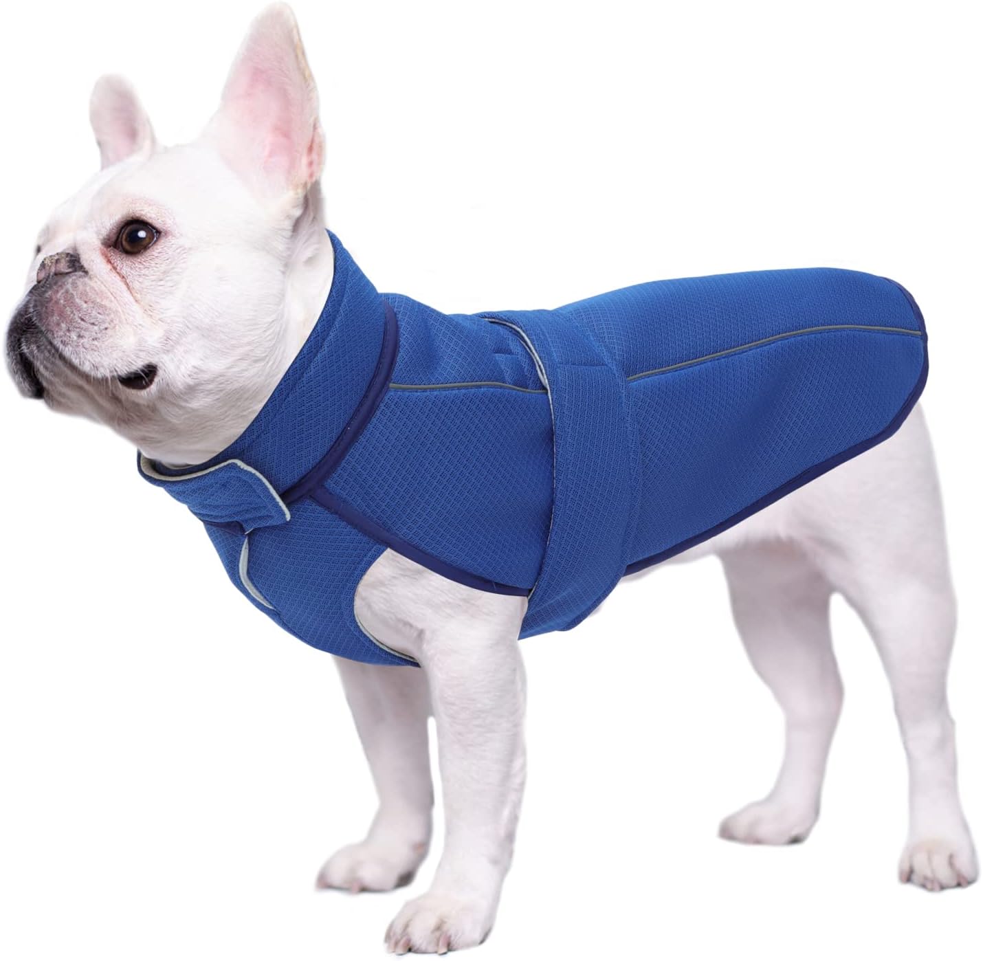 Dog Cooling Vest, Lightweight Cooler Jacket, Dog Ice
