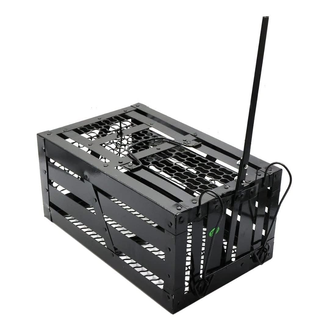TheWBs Big Bandicoot Rat Ghoos Rodent Mouse Trap Cage, Hand Made Metal, No Kill Rat Catcher Trap for Indoor and Outdoor Use, 13 x 8 x 6 inches, (Black) (B0D7X4PQQB) Amazon Price History, Amazon Price Tracker