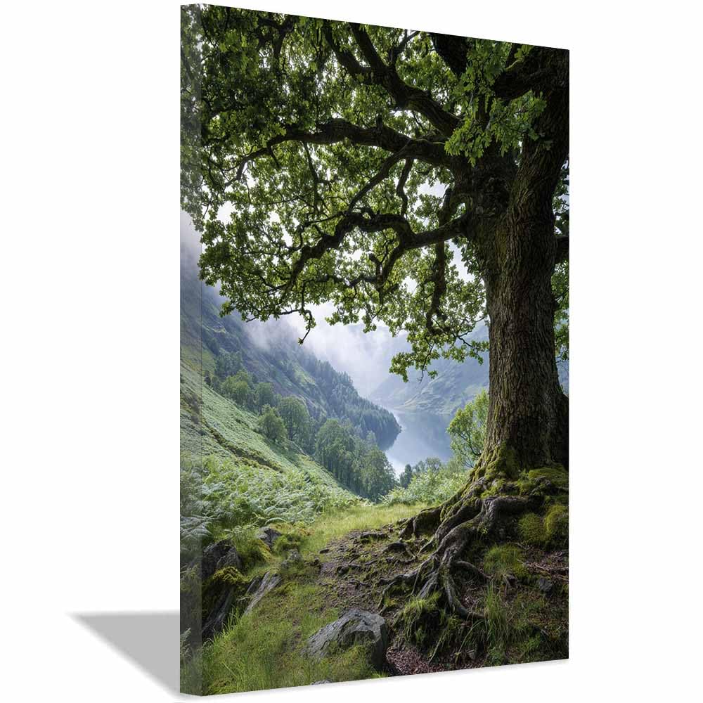 HOQIU Canvas Wall Art Misty Lake Oak Tree canvas art, art print, house decor, bedroom wall decor above bed, prints for living room.(Multicolor)-60x80cm Framed