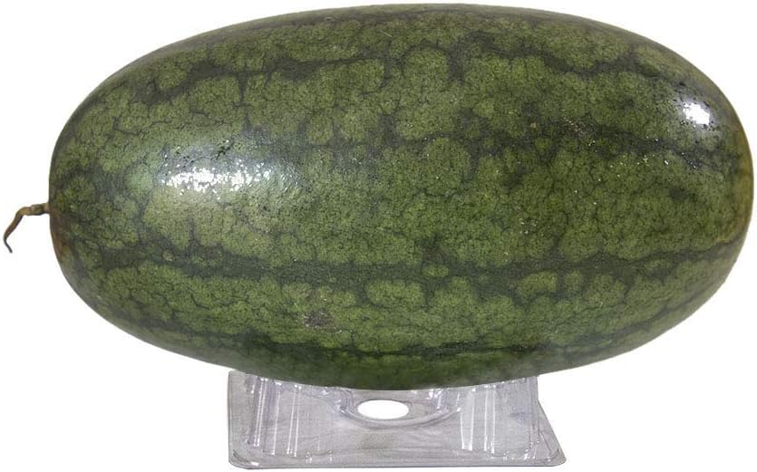 Plastic Melon Support (24 PCS) Plant & Garden Cradle for Watermelon-Pumpkin-Squash - Holds up to 20 lbs
