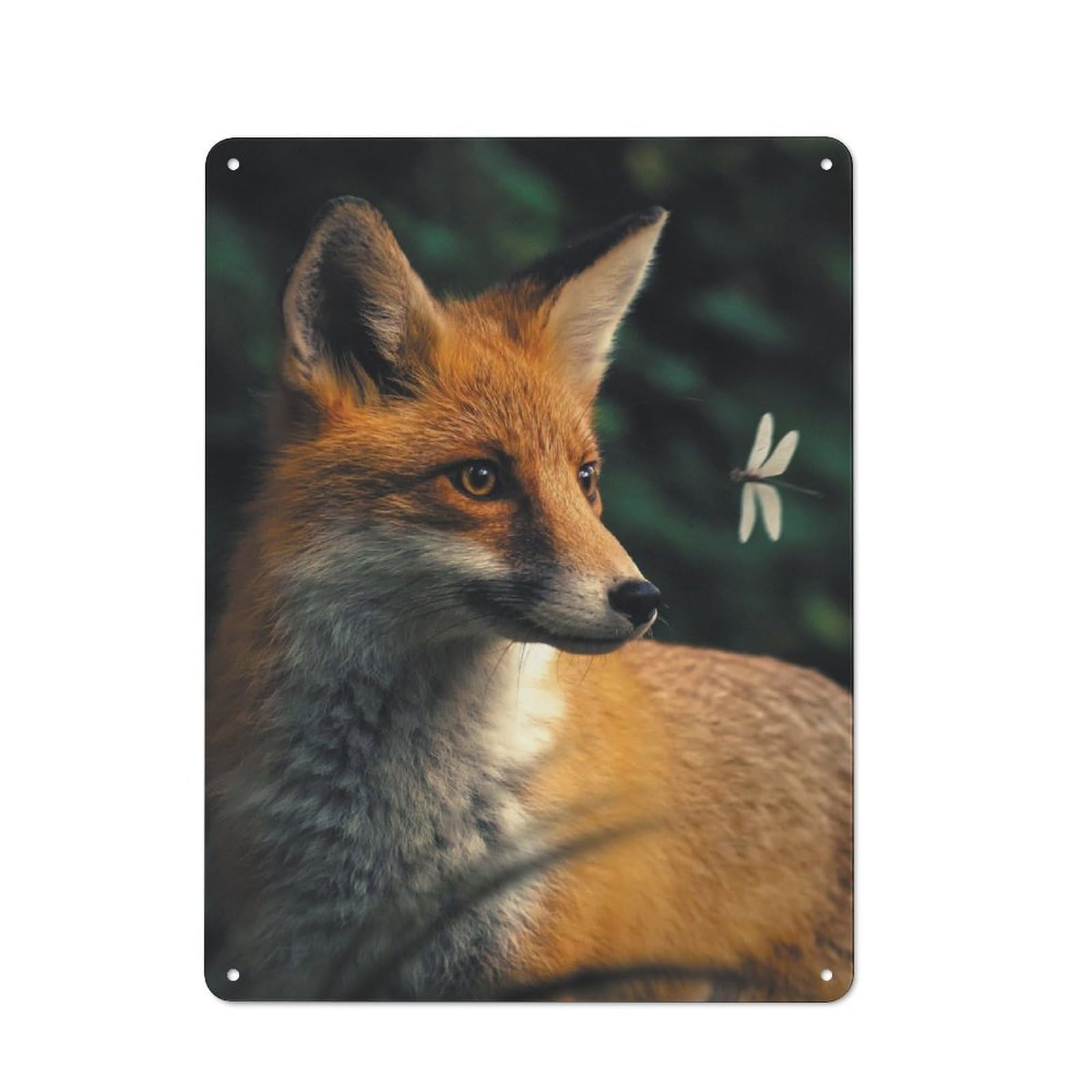 Retro Metal Sign 40x30cm Featuring The Fox And Dragonfly, Home Bar Decor for Pub, Home Bar, Shed Or Man Cave