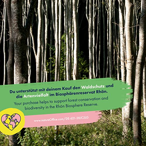 Gemüsesamen - 12 samenfeste bunte Garten-Gemüsesorten für den Garten, das Hochbeet und den Balkon - simpel & ertragreich - Einsteiger-Saatgutset als kleines Geschenk oder für den Eigenbedarf
