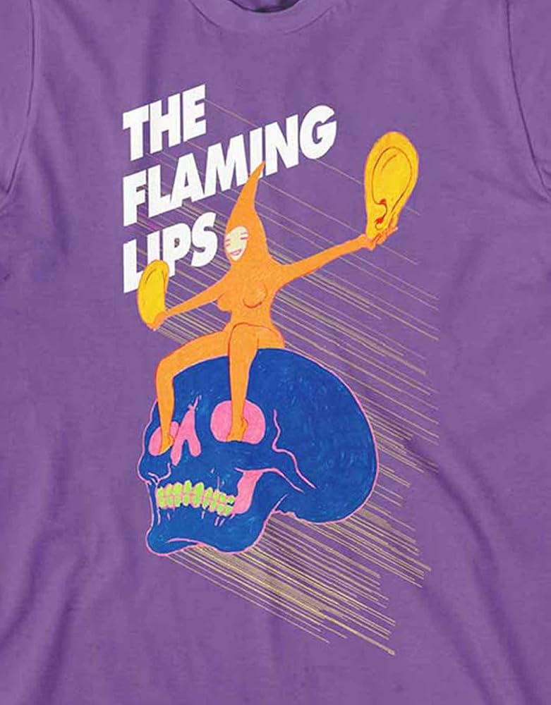 The Flaming Lips Tシャツ Lサイズ Cornelius 90's THE FLAMING LIPS RACE FOR THE PRIZE T-SHIRT USED