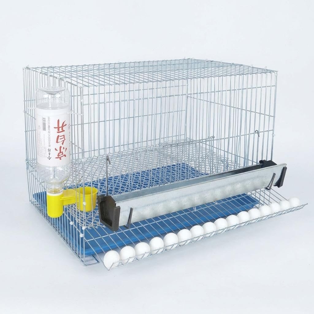 Button Quail Cage with Droppings Tray and Foot Pads, Metal Wire Cage for Home Breeding, Suitable for Quails and Livestock Industry Use Small Rotating Egg cage with t-image-44