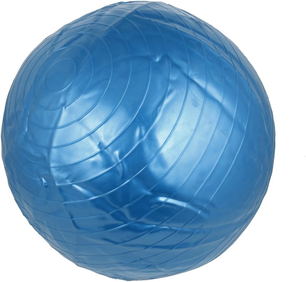 Lady Swiss Gym Inflatable Fitness Aerobic Yoga Exercise Ball 55cm Blue (id: bf9 920 f57 a3a 428
