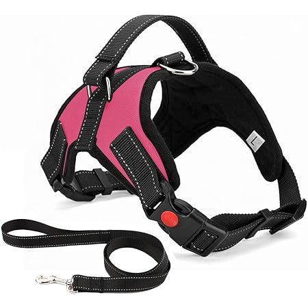 mokcci dog harness