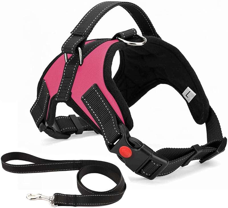 Amazon.co.uk Collars, Harnesses & Leads For Dogs Collars, Harnesses