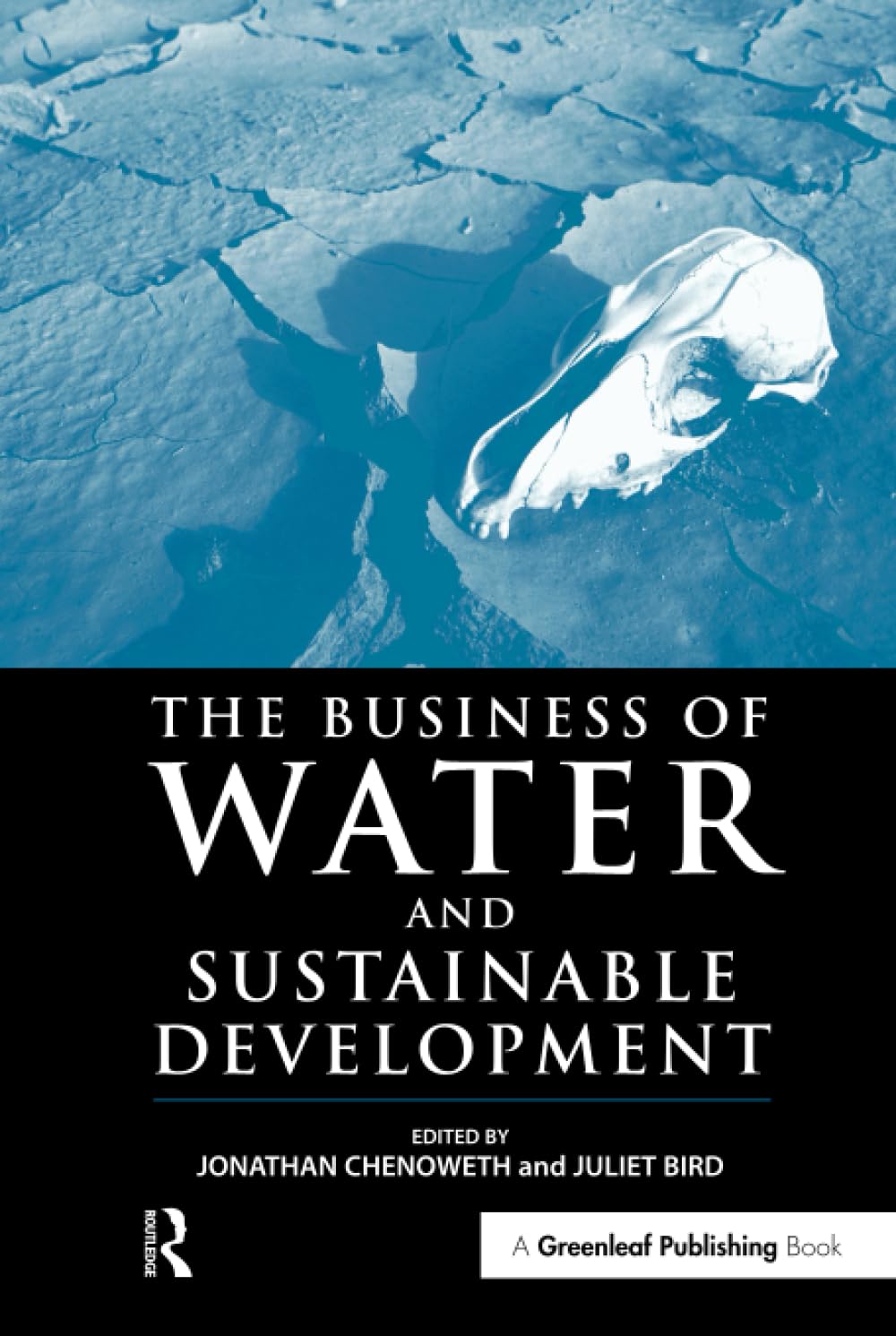 Buy The Business of Water and Sustainable Development: Making Environmental Product Information Systems Effective — BookShops.in